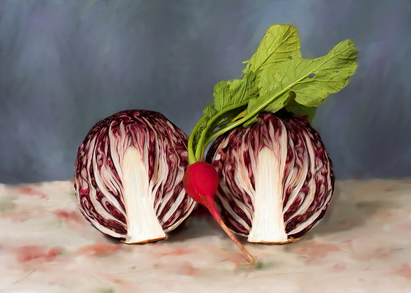 Raddicchio and Radish